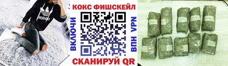 закладка  Лабытнанги  гидра ссылка  Cocaine Эквадор 
