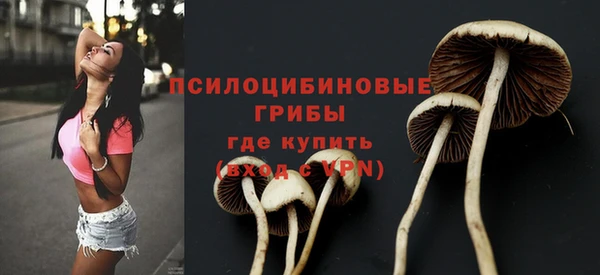 хмурый Абдулино