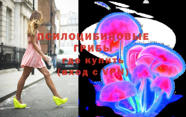 прущий лед Абаза
