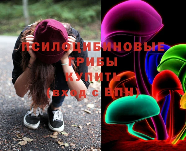 прущий лед Абаза
